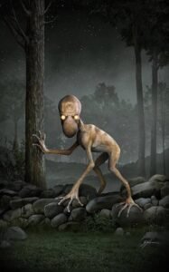 images 3