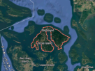 orcas 1