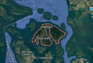 orcas 1