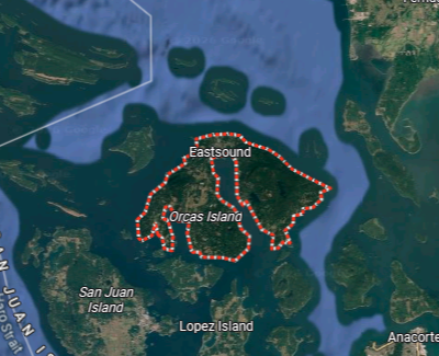 orcas 1