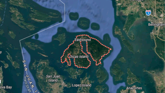 orcas 1